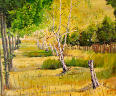 Landscape 2010